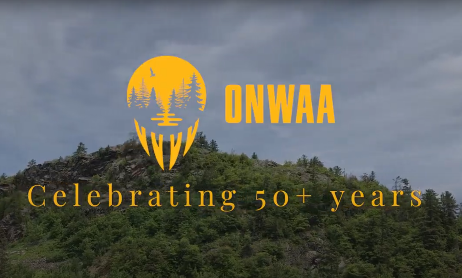 Org. Culture Video thumbnail